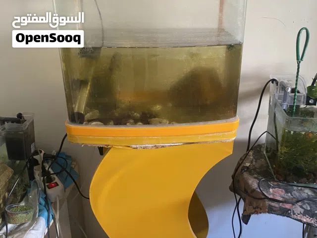 حوض سمك بالسمك متاعه