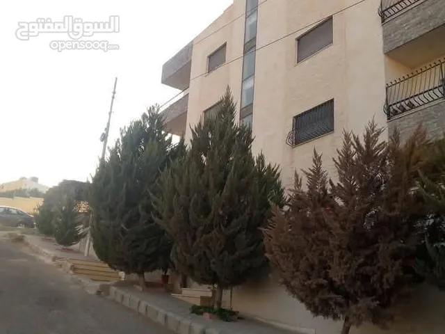 شقة شبه ارضي للبيع او للايجار من المالك