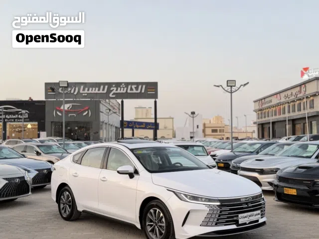 2025 بي واي دي ديستروير