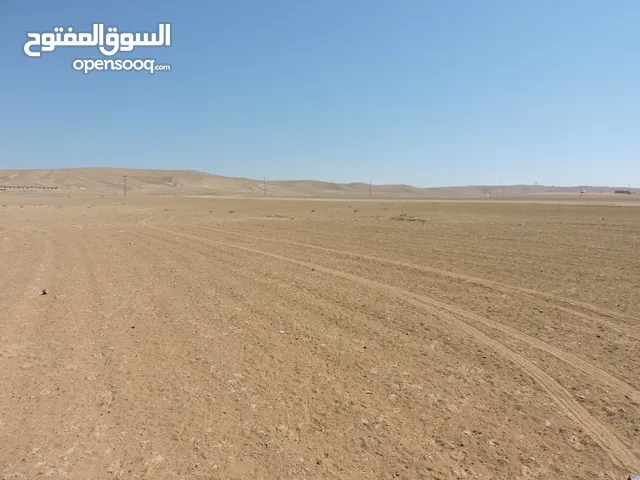 Farm Land for Sale in Amman Al-Quneitirah