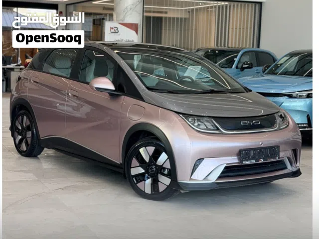 2022 بي واي دي دولفين