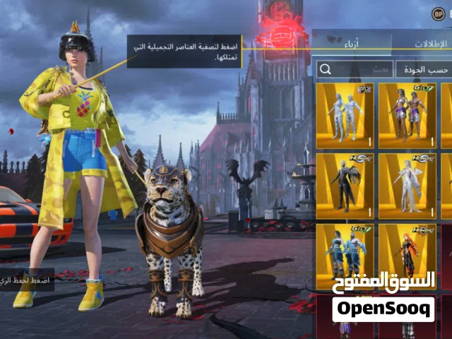 Pubg Accounts and Characters for Sale in Northern Governorate