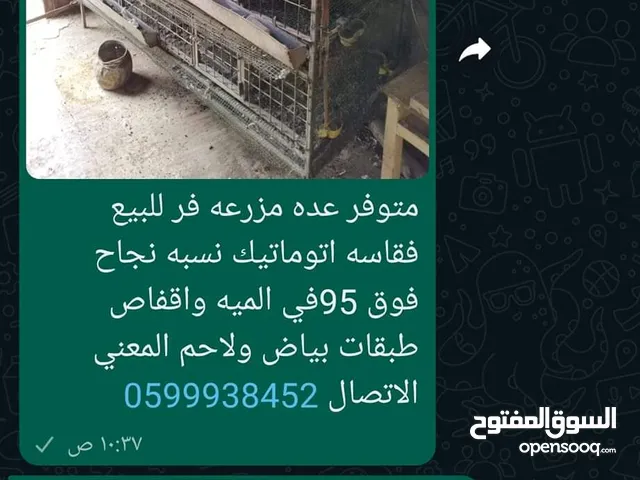 مزرعه طيور فر للبيع بدون طيور
