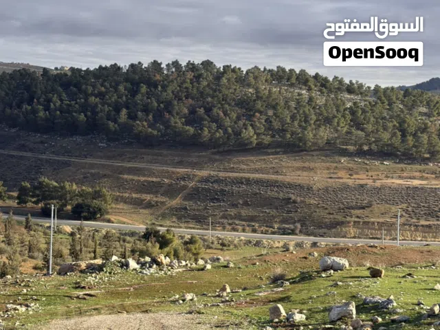 Farm Land for Sale in Jerash Dahl