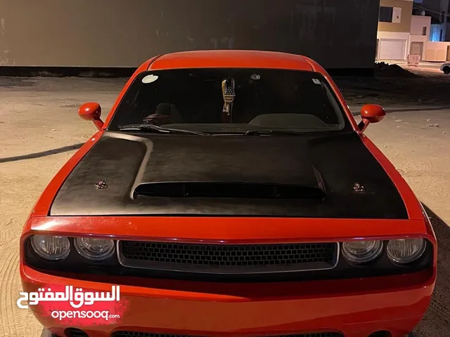 للبيع بانيت فايبر و لحيه حق دوج جلنجر 2014