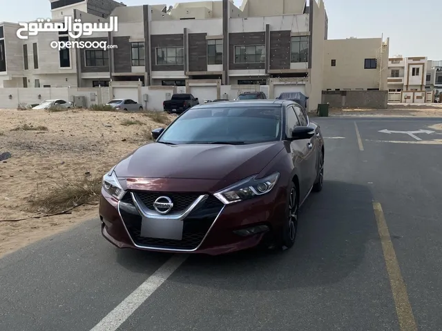 Used Nissan Maxima in Ajman