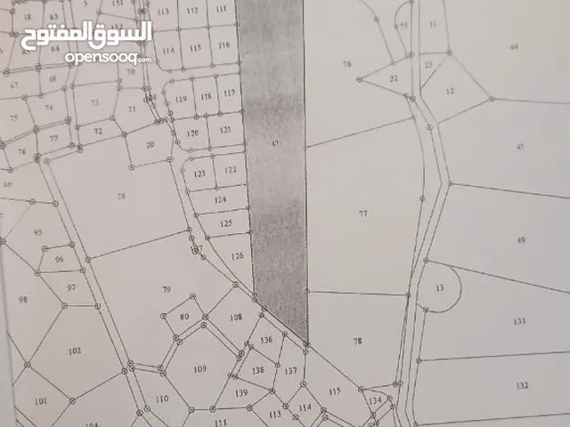 Farm Land for Sale in Madaba Mai'n