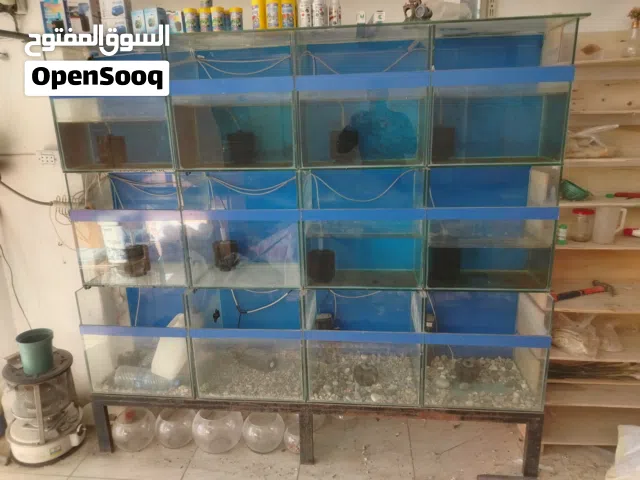 احواض سمك للبيع