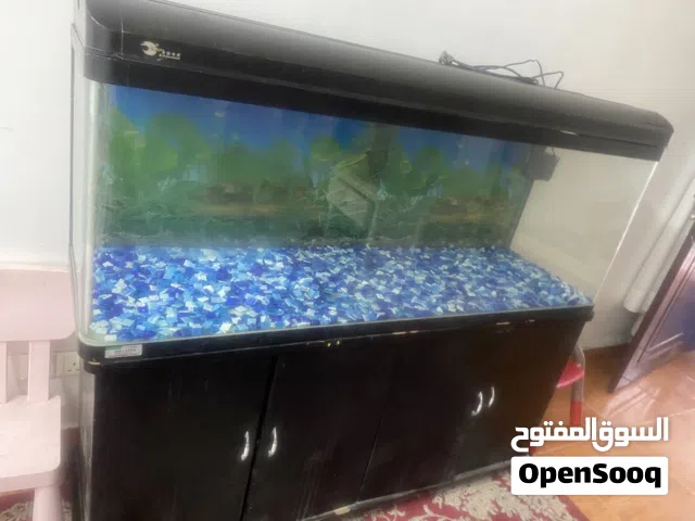 For sale big tank little used