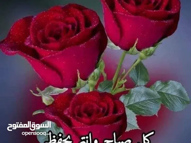 مستودع للإيجار طول 11 بعرض 4