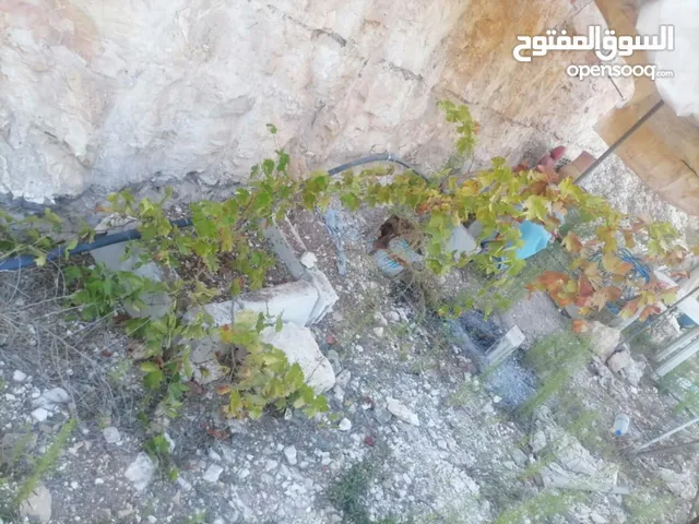 Mixed Use Land for Sale in Irbid Kufr Sowm