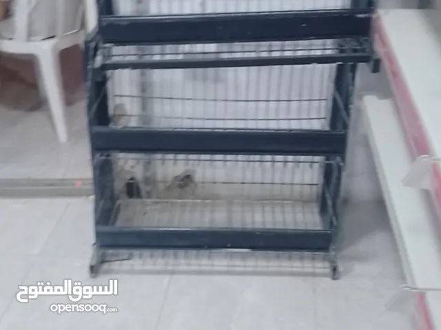 ارفوف لالبيع