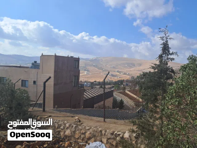 Farm Land for Sale in Zarqa Sarout