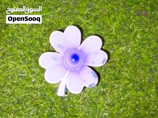 اكسسوارات شعر ناعمه و انيقه