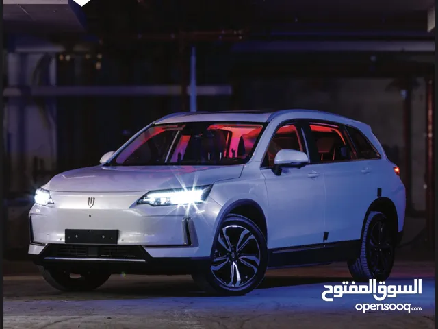 بتمشيك640كيلو على شحنة حجم بطارية86 سكاي_ويل العائلية
