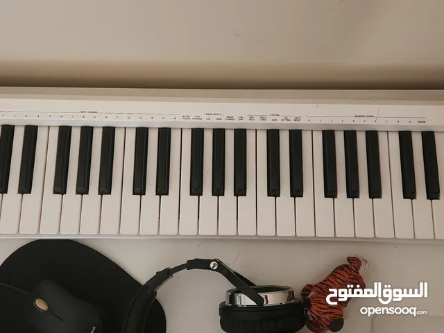 ميدي رولاند A49 ROLAND  midi