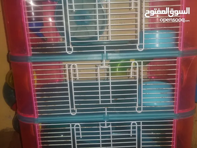 بيت الهامستر