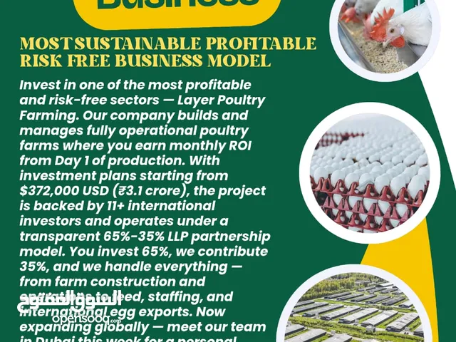 Subject: Secure Investment  100% ROI in 1 Year  Passive Income from Layer Poultry Farming