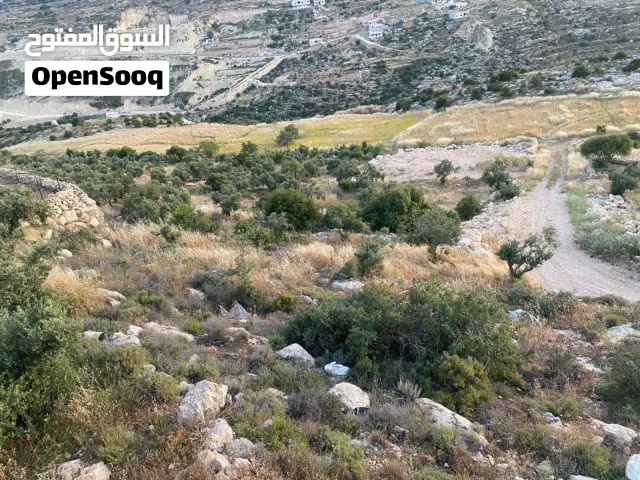 Residential Land for Sale in Hebron Tapuah