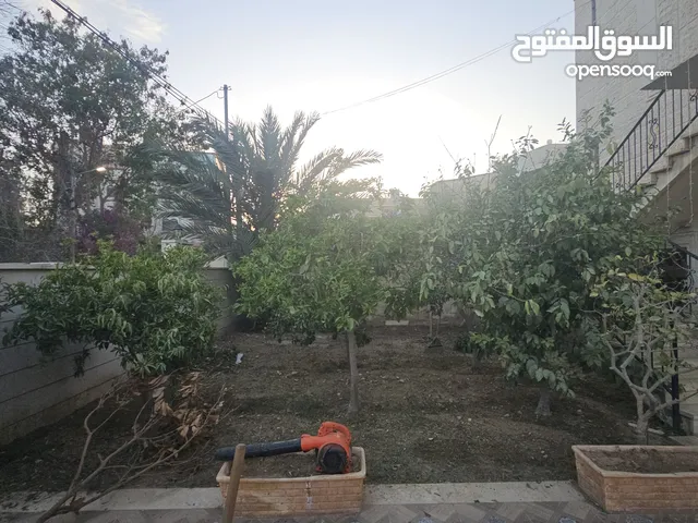 320 m2 More than 6 bedrooms Townhouse for Sale in Jericho Downtown