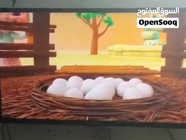 شاشة ناتوكال 43 بوصة سمارت ريموت فقط الشيخ زايد وفيه 3 شاشات 32 ata سمارت وتوشيبا عادية