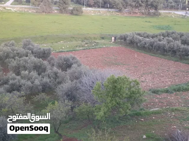 ارض لقطة للبيع في ناعور بسعر مغري الارض موقعها جدا ممتاز للسكن و التحارة بحكم قربه من الخدمات