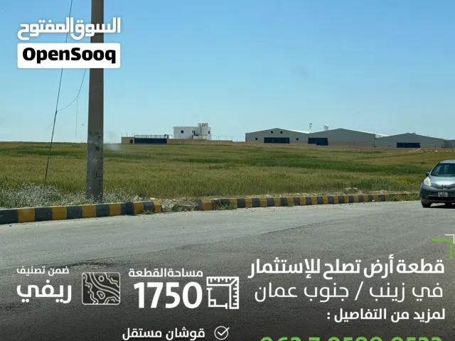 Farm Land for Sale in Amman Zeinab