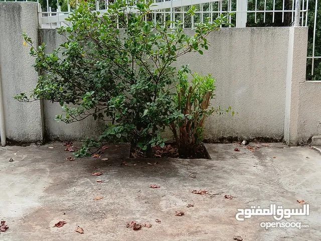 250 m2 4 Bedrooms Apartments for Rent in Matn Cornet Chahwan