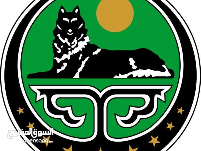 محمد ارسلان