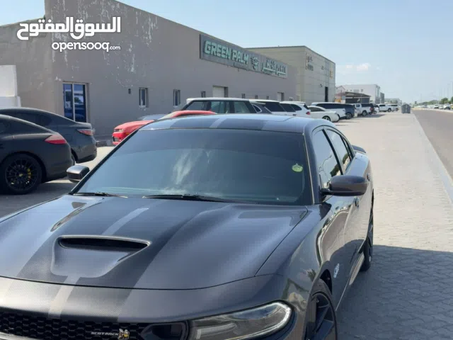 Dodge Charger Scat Pack GCC – Dealer Maintained
