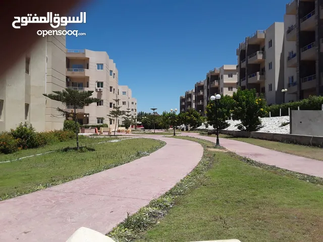 85 m2 2 Bedrooms Apartments for Sale in Alexandria North Coast