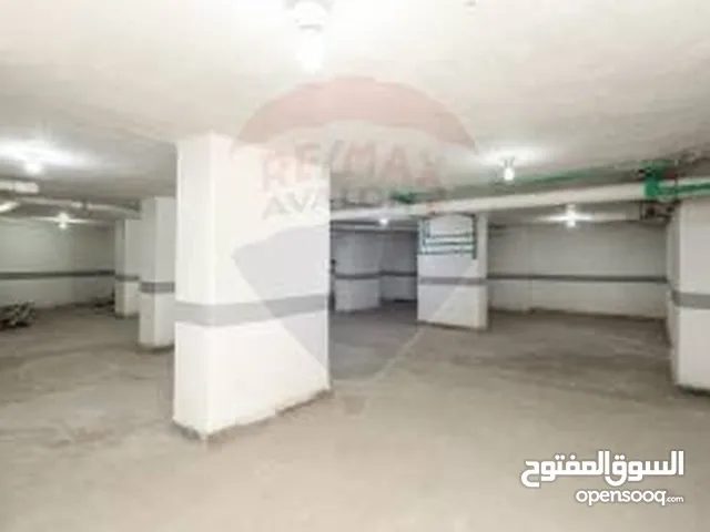 40 m2 Shops for Sale in Ismailia Ismailia