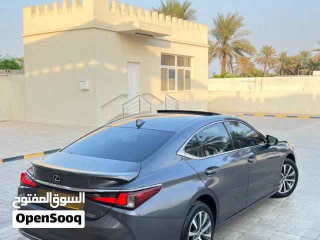 2021, Lexus, ES, ES 250 Luxury