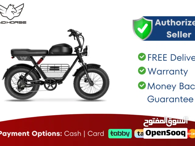 Wind Horse D5 Electric Bike