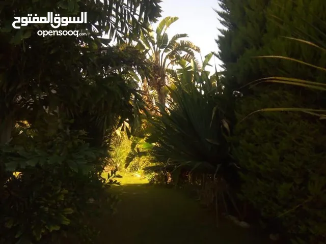 فيلا استاند الوان في مراسي اريزو مع إطلالة على البحيرة وحمام السباحة