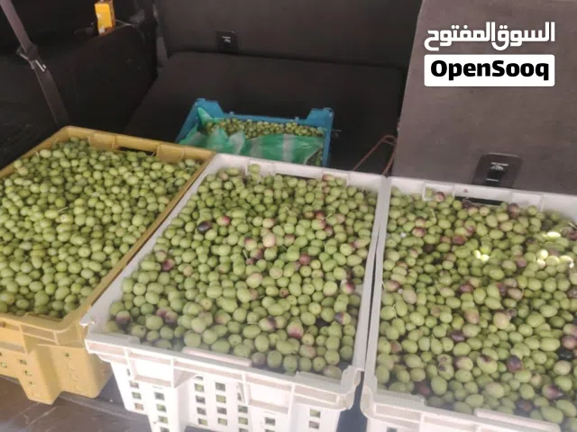 منزل بسيط للبيع في الجبل الأخضر حيل اليمن 4