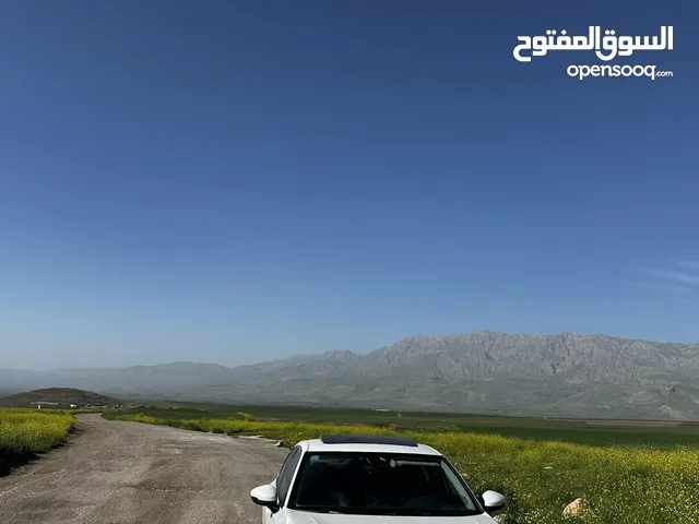 هوندا سيفك موديل 2024 تورنك