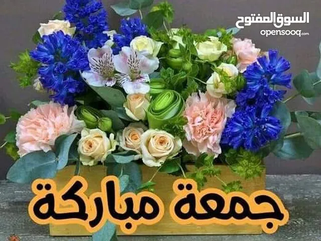 ارانب بلدي عده احجام  للبيع