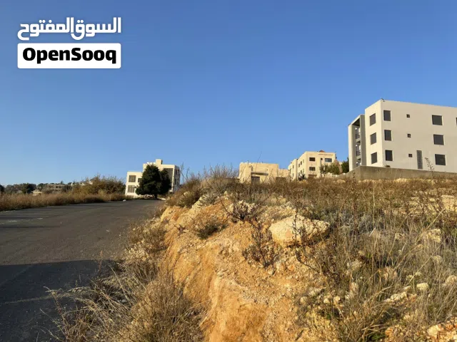 Residential Land for Sale in Amman Badr Jdedeh