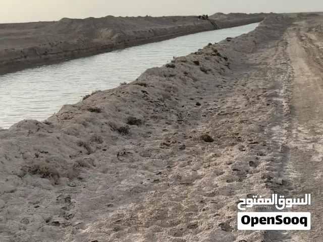 ارض زراعيه اقرا الوصف تم تخفيض السعر