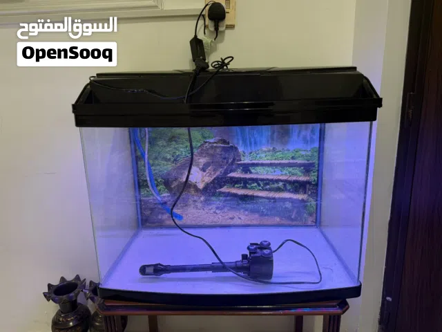 حوض سمك للبيع