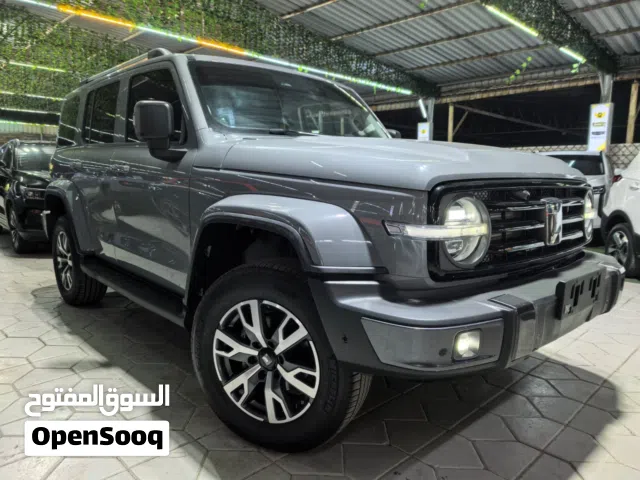 2025 تانك 300