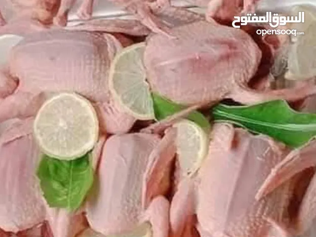 زغاليل ارانب بط ديوك بلدي حبش