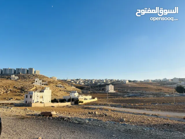 Residential Land for Sale in Amman Shafa Badran
