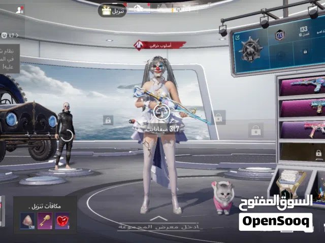 Pubg Accounts and Characters for Sale in Irbid