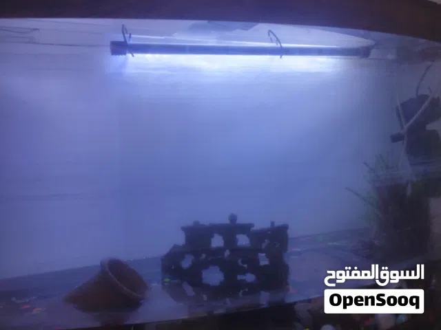 حوض سمك حجم كبير ومرتب