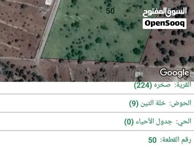 ارض زراعية وسكنية