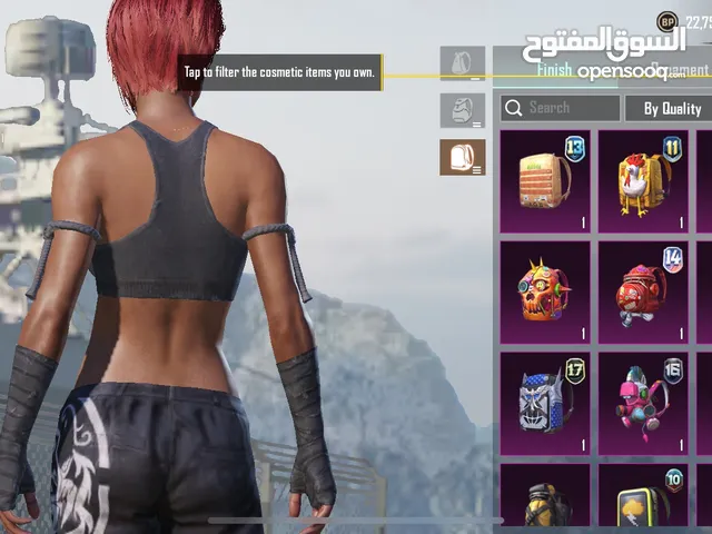 Pubg Accounts and Characters for Sale in Dohuk