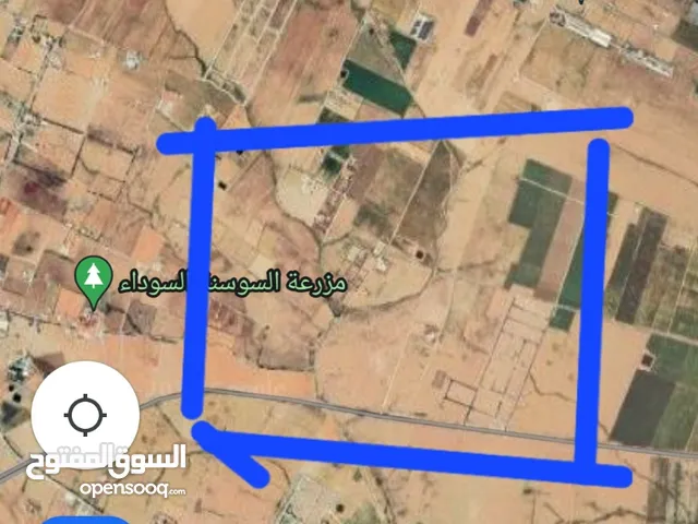 Farm Land for Sale in Amman Airport Road - Manaseer Gs