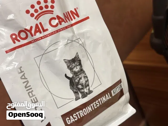 مستلزمات قطط للبيع